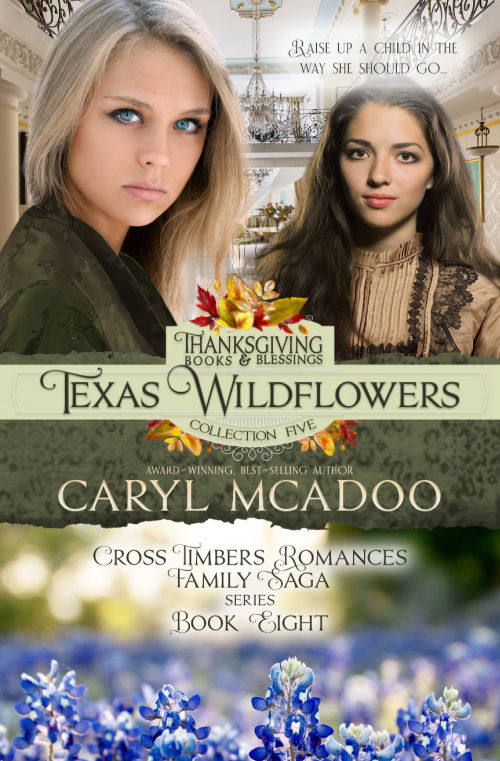 Texas Wildflowers, book eight, Cross Timbers Romance Family Saga, Historical Christian Fiction
